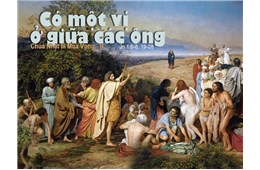 Chúa nhật III Mùa Vọng B ( Ga 1, 6-8.19-28 ) 