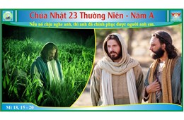 Chúa Nhật XXIII Quanh Năm A ( Mt 18, 15-20 )