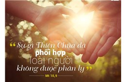 Chúa nhật XXVII Quanh năm B ( Mc 10, 2-16 )