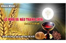 Chúa nhật IX Quanh năm B ( Mc 14, 12-16.22-26 )