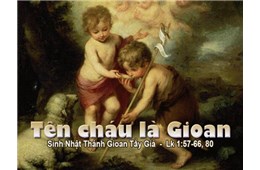 Chúa nhật XII Quanh năm B ( Sinh nhật Gioan Tẩy Giả )( Lc 1, 57-66.80 )