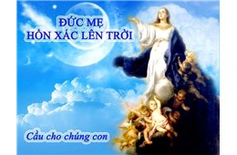 XIN THEO ĐỨC MẸ LÊN TRỜI - GB. Bùi Tuần