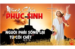 Lễ Phục Sinh A ( Ga 20, 1-9 ) năm 2020