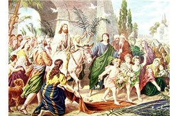 Chúa nhật Lễ Lá Năm B ( Mc 14,1 - 15,47 ) năm 2021