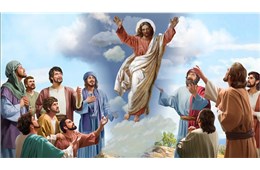 Lễ Chúa Giêsu thăng thiên B ( Mc 16, 15-20 ) năm 2021
