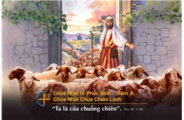 Chúa nhật IV Phục sinh A ( Ga 10, 1-10 ) - Chúa nhật Chúa Chiên Lành- Cầu cho Ơn Thiên Triệu Linh mục và Tu sĩ năm 2023