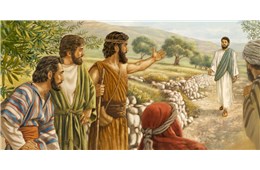 Chúa nhật II Quanh năm A ( Ga 1, 29-34 ) năm 2026